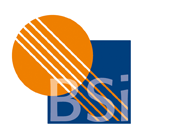 BSI_Logo